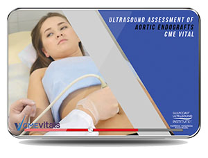 Ultrasound Assessment of Aortic Endografts